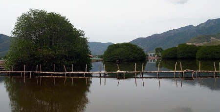 Tour of Khanh Hoa Mangrove Forest - ảnh 1